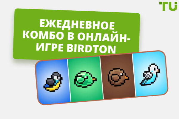 Ежедневное комбо в онлайн-игре BirdTON