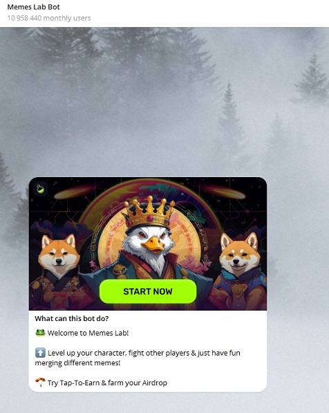 Игра MemesLab