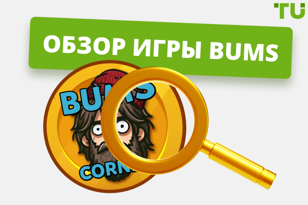 Детальный обзор игры BUMS