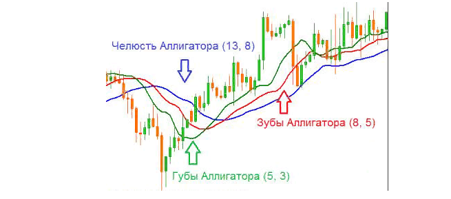 Индикатор Alligator