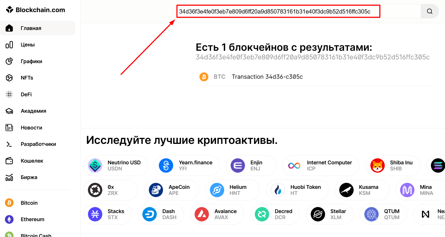 Поиск транзакции по хешу на Blockchain.com Explorer