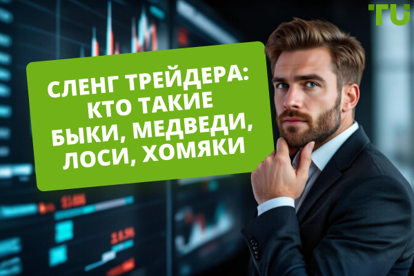 Сленг трейдера: кто такие быки, медведи, лоси и хомяки на бирже