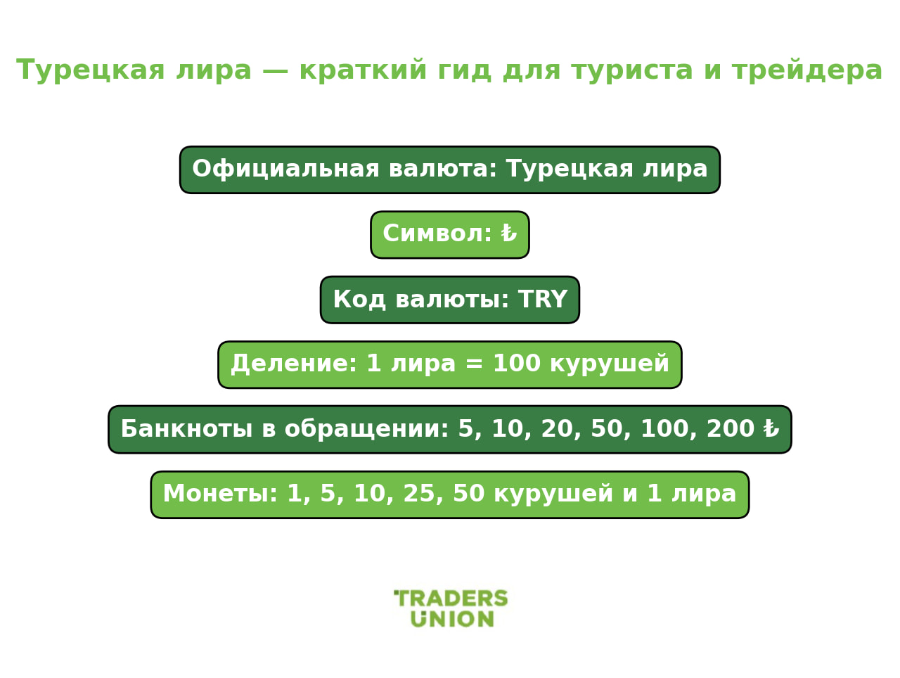 Краткий гид по турецкой лире