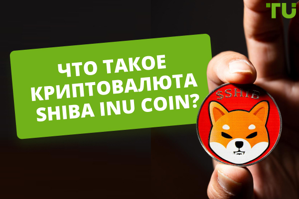 Обзор Shiba inu Coin (Шиба) - можно ли заработать в 2024?
