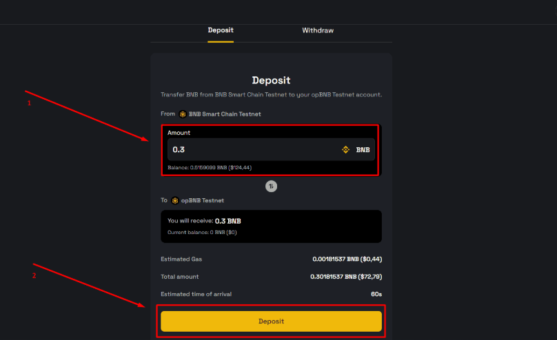 Получение токенов с BNB Chain Testnet