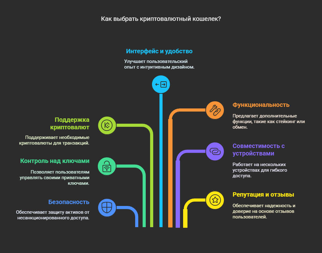 Инфографика: 'Как выбрать криптовалютный кошелек'