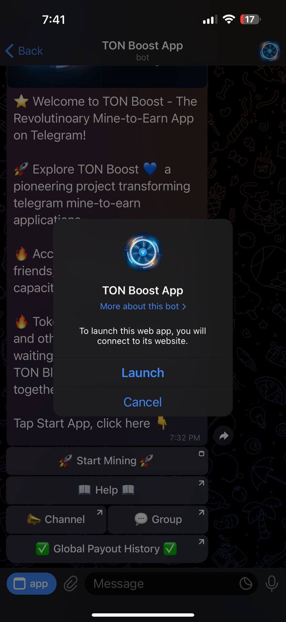 Запускаем приложение TON Boost