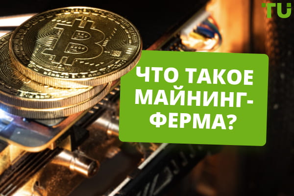 Что такое майнинг-ферма? Выгодно ли майнить с ее использованием?