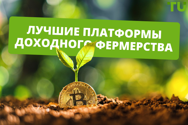 Лучшие платформы доходного фермерства в 2025 году