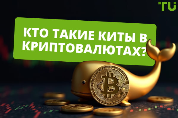 Кто такие киты в криптовалютах: влияние, стратегии и как за ними следить