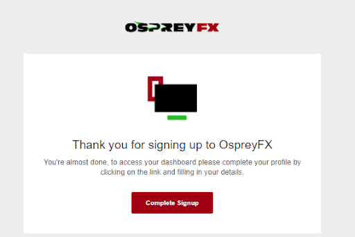 Обзор OspreyFХ — Подтверждение email