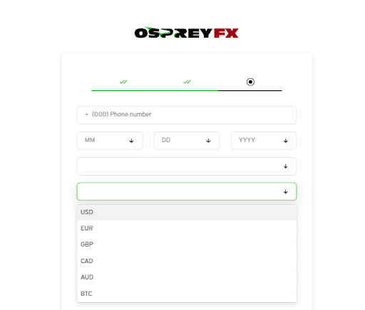 Обзор OspreyFХ — Создание аккаунта