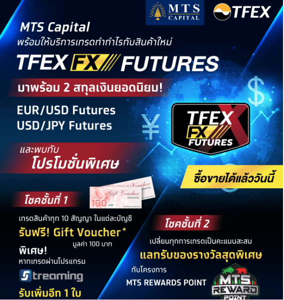 Обзор MTS Capital — Подарочный ваучер