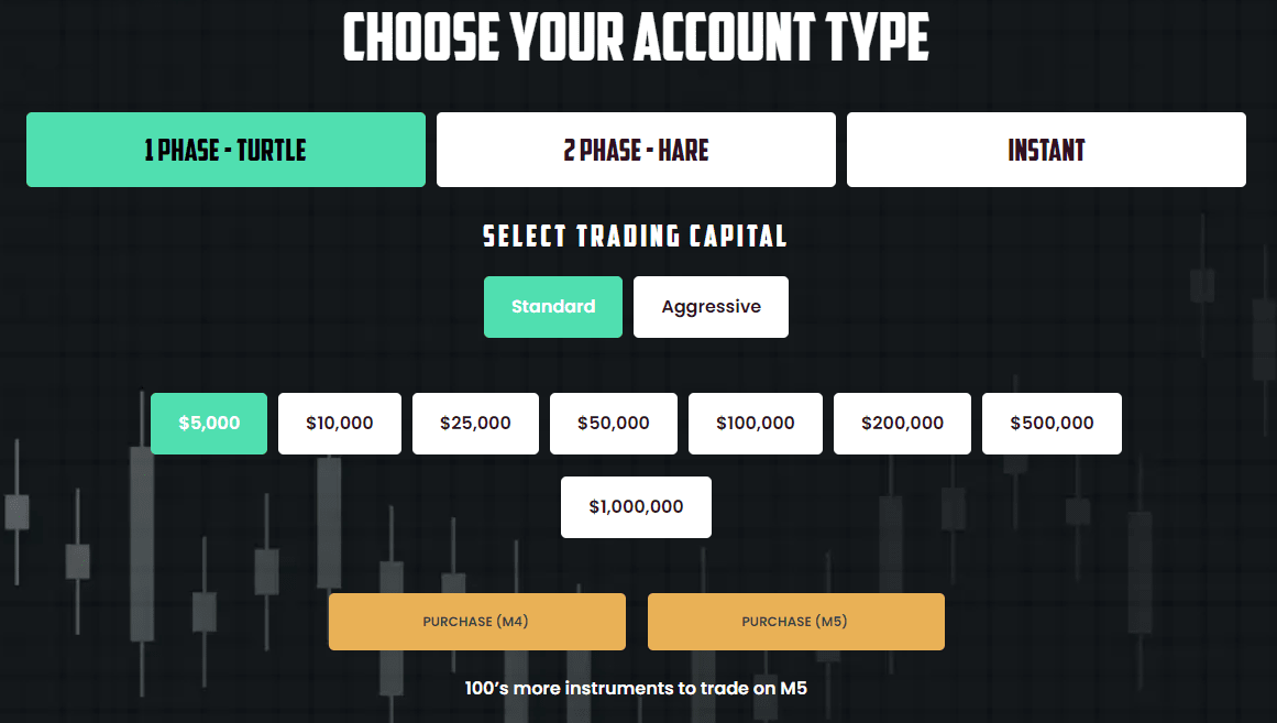 Обзор Traders With Edge - Тип счета