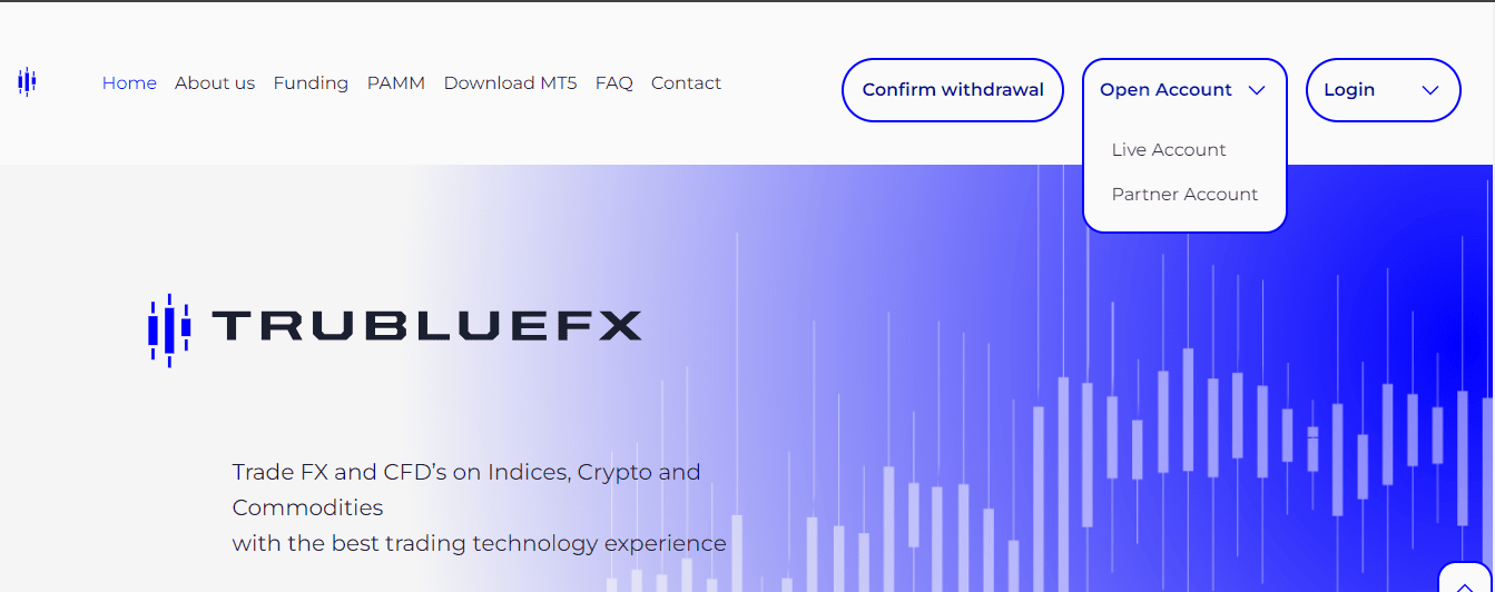 Обзор Trubluefx — Запуск регистрации