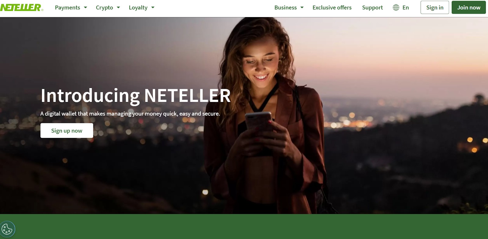 Платіжна система Neteller