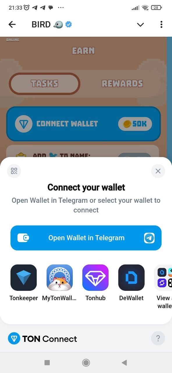 BirdTON Wallet Connection