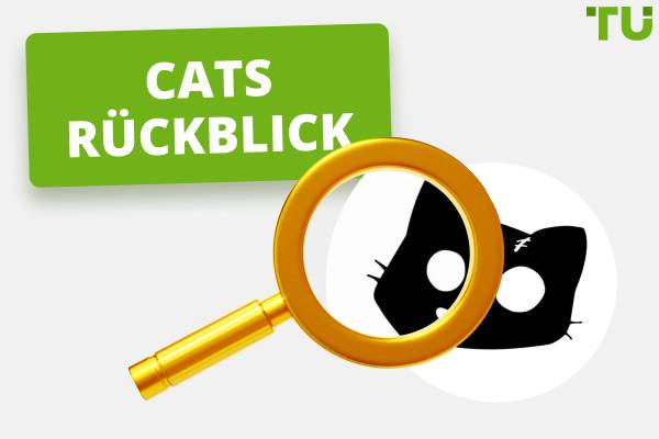 CATS-Überprüfung: Umfassende Einblicke
