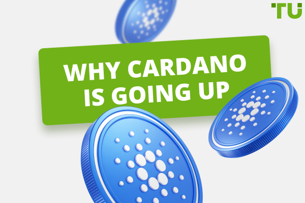 Why Cardano is going up. Top reasons and price predictions to know