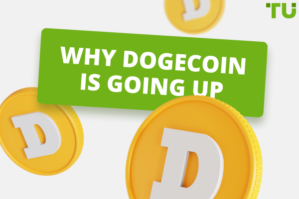 Why Dogecoin is going up. Top reasons and price predictions to know