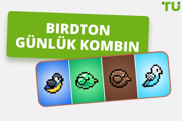 BirdTON Daily Combo (Güncellendi)