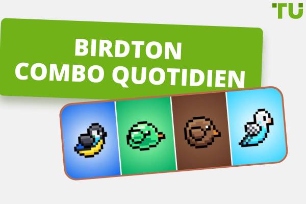 Combo quotidien BirdTON (mis à jour)