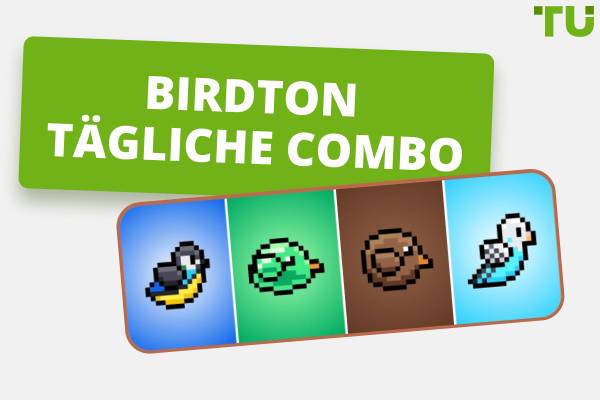 BirdTON Daily Combo (Aktualisiert)