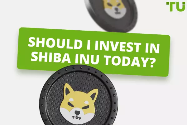 What to Expect if I Invest $1000 in Shiba Inu Today