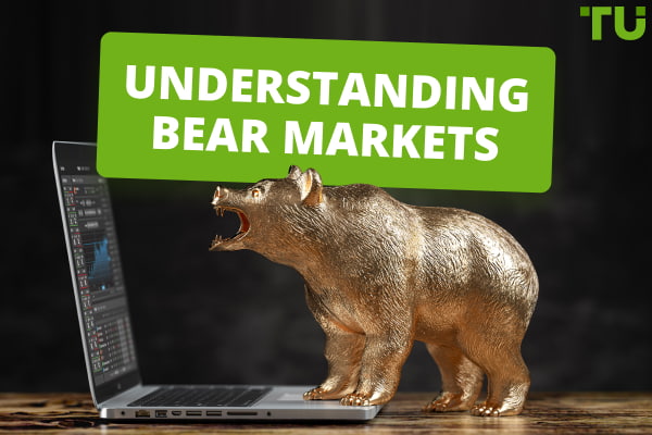 What Is A Bear Market? How To Survive And Make Money