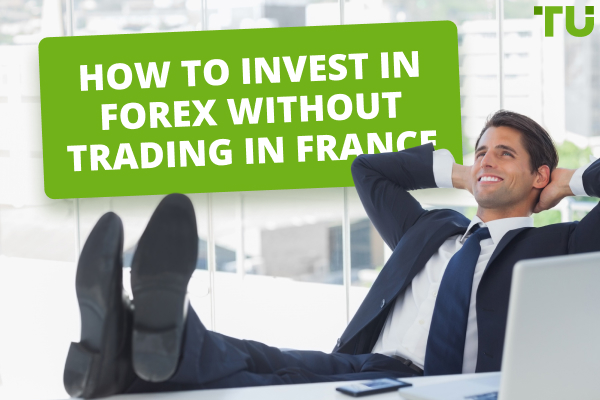 5 Best Forex Managed Accounts In France 