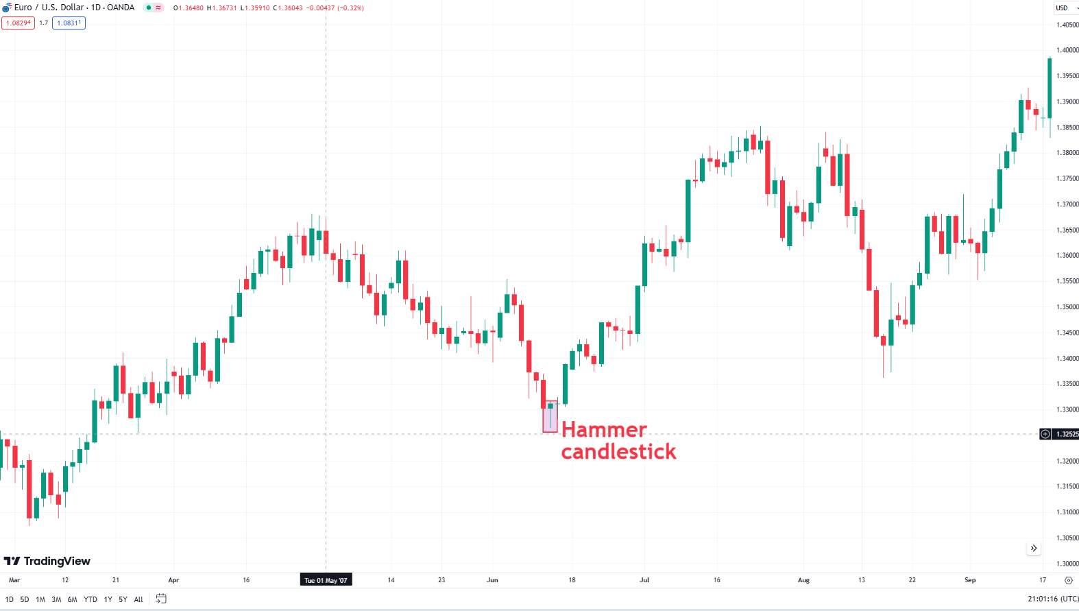 Hammer candlestick