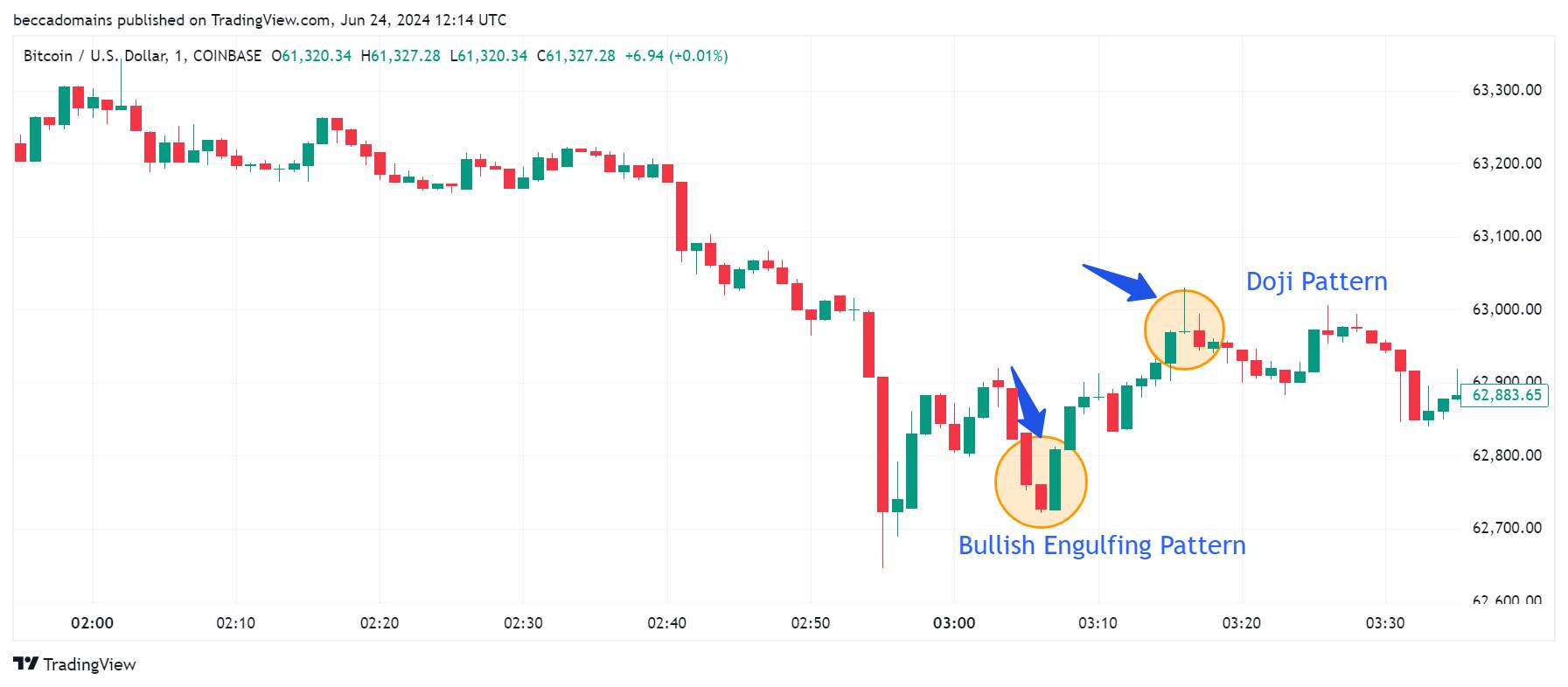 A Performance Chart of Bitcoin: Identifying Doji and Bullish Pattern Types