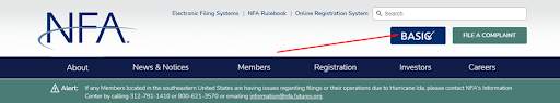 Section of the website