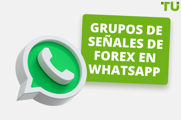 Grupos de señales de Forex en WhatsApp: gratuitos y de pago (2024)