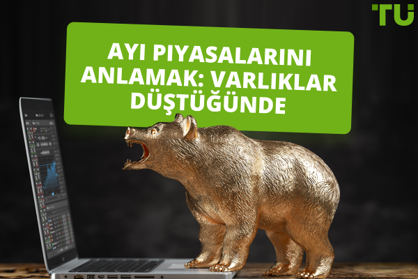 Ayı Piyasası Nedir? Nasıl Hayatta Kalınır ve Para Kazanılır
