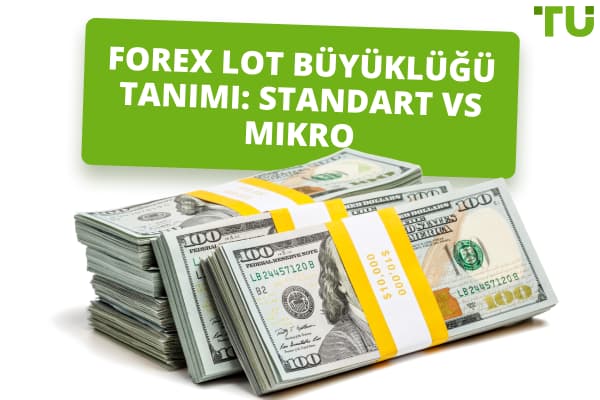 Forex Lot Büyüklüğü Tanımı: Standart vs Mikro