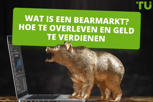 Wat is een bearmarkt? Hoe te overleven en geld te verdienen