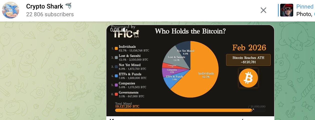 Crypto Shark