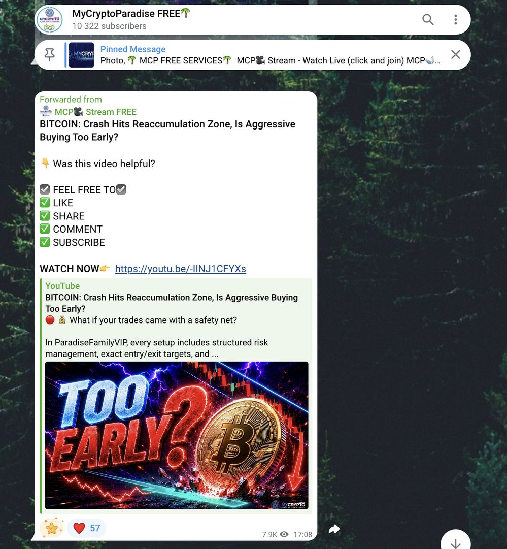 MyCryptoParadise Telegram channel