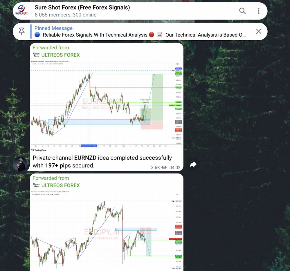 Sure Shot Forex