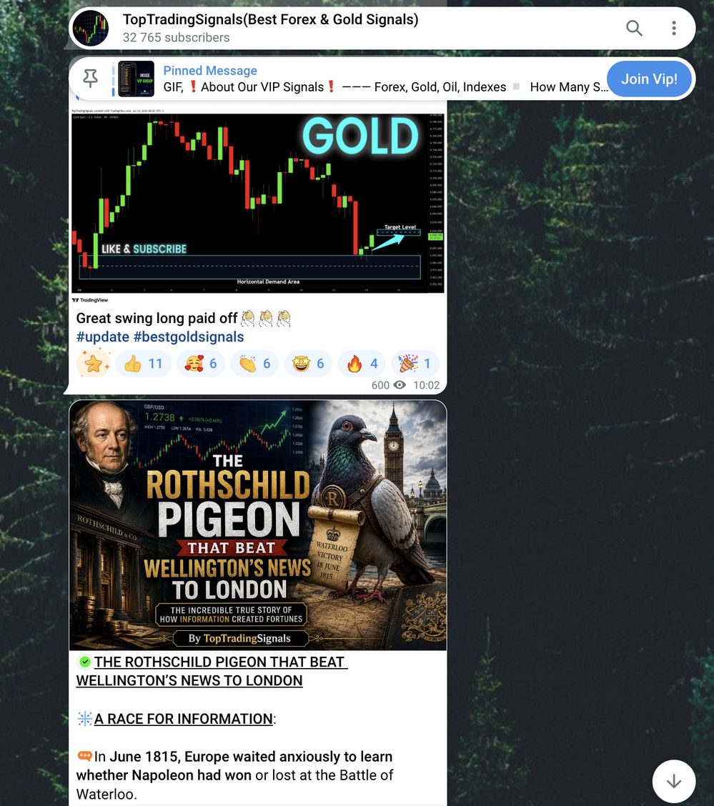 TopTradingSignals Telegram channel