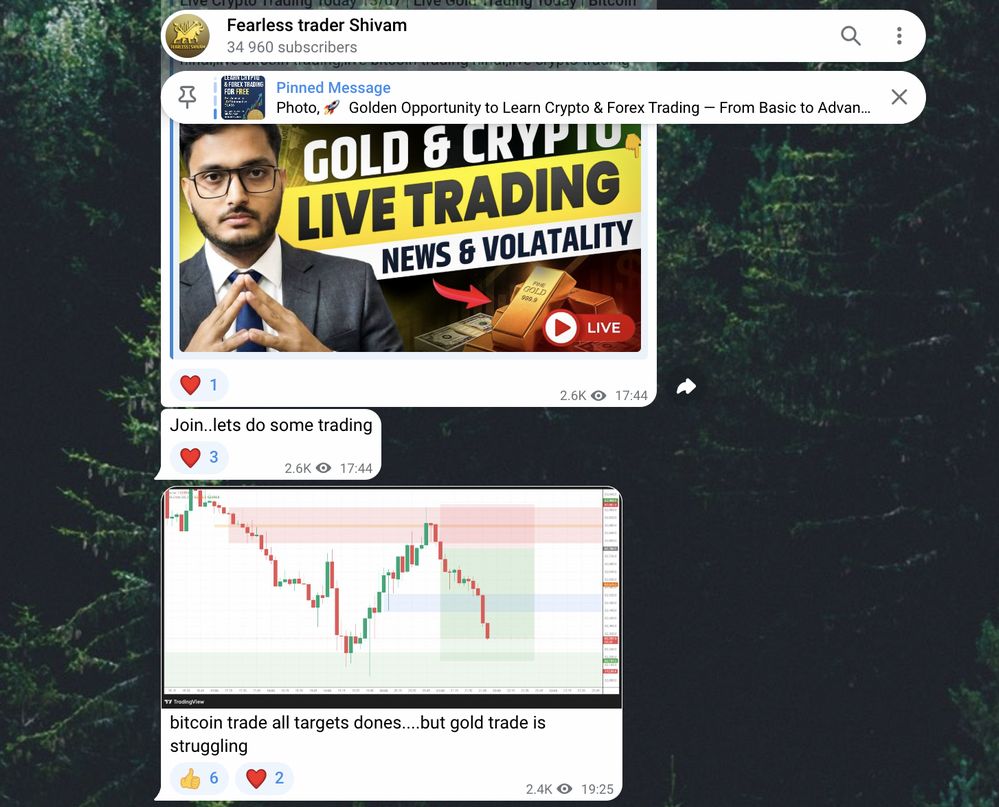 Fearless Trader Shivam