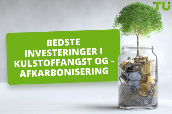 De bedste kulstofoptagelsesaktier til at investere i en bæredygtig fremtid