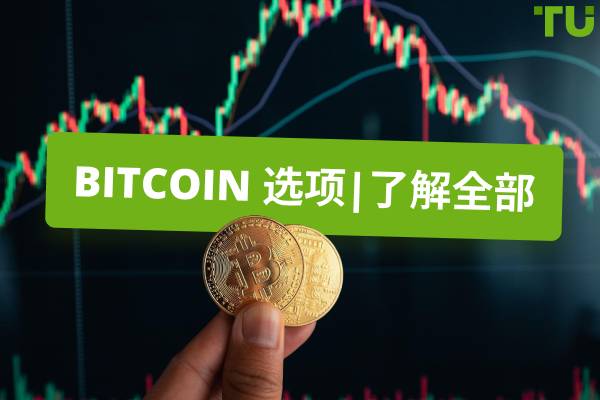 Bitcoin 选项|了解全部