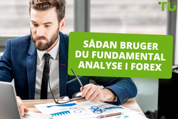 Sådan bruger du fundamental analyse i Forex