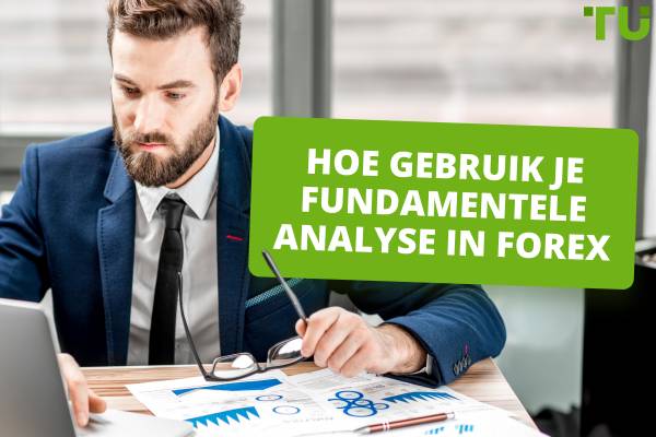 Hoe gebruik je fundamentele analyse in Forex