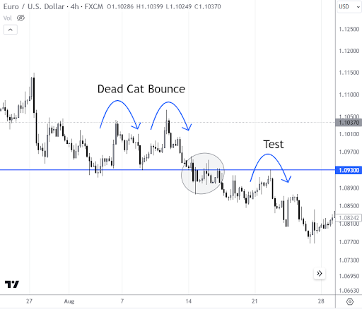 EUR/USD: Example of a dead cat bounce