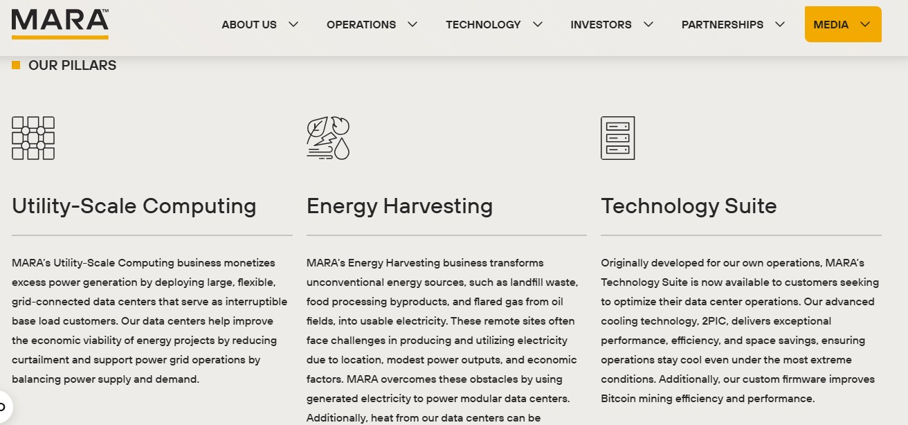 MARA pillars of business