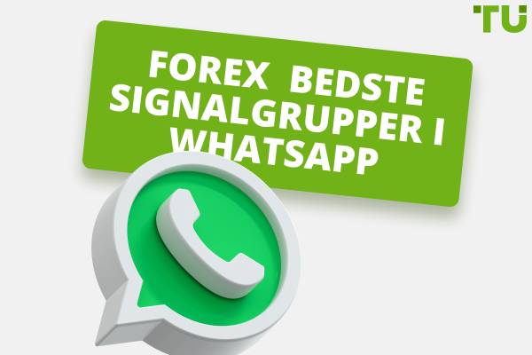 Forex-signaler Whatsapp-grupper (2025)
