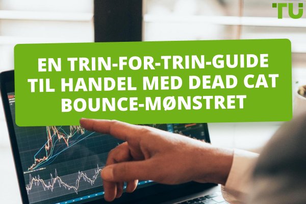 En trin-for-trin-guide til handel med Dead Cat Bounce-mønstret